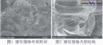 玻化微珠外觀形狀及內(nèi)部結(jié)構(gòu)